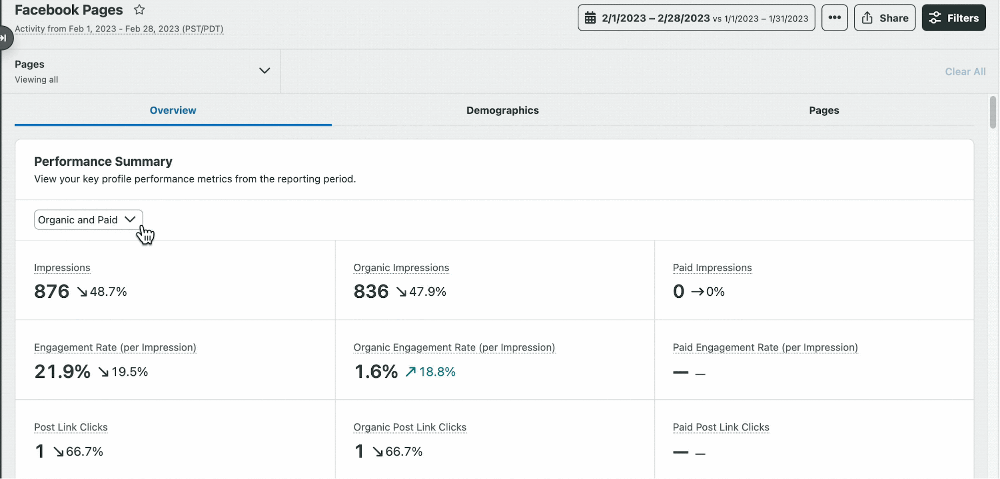 Performance Summary Facebook Analytics Pages Report 