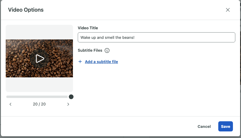 video_options_window.png