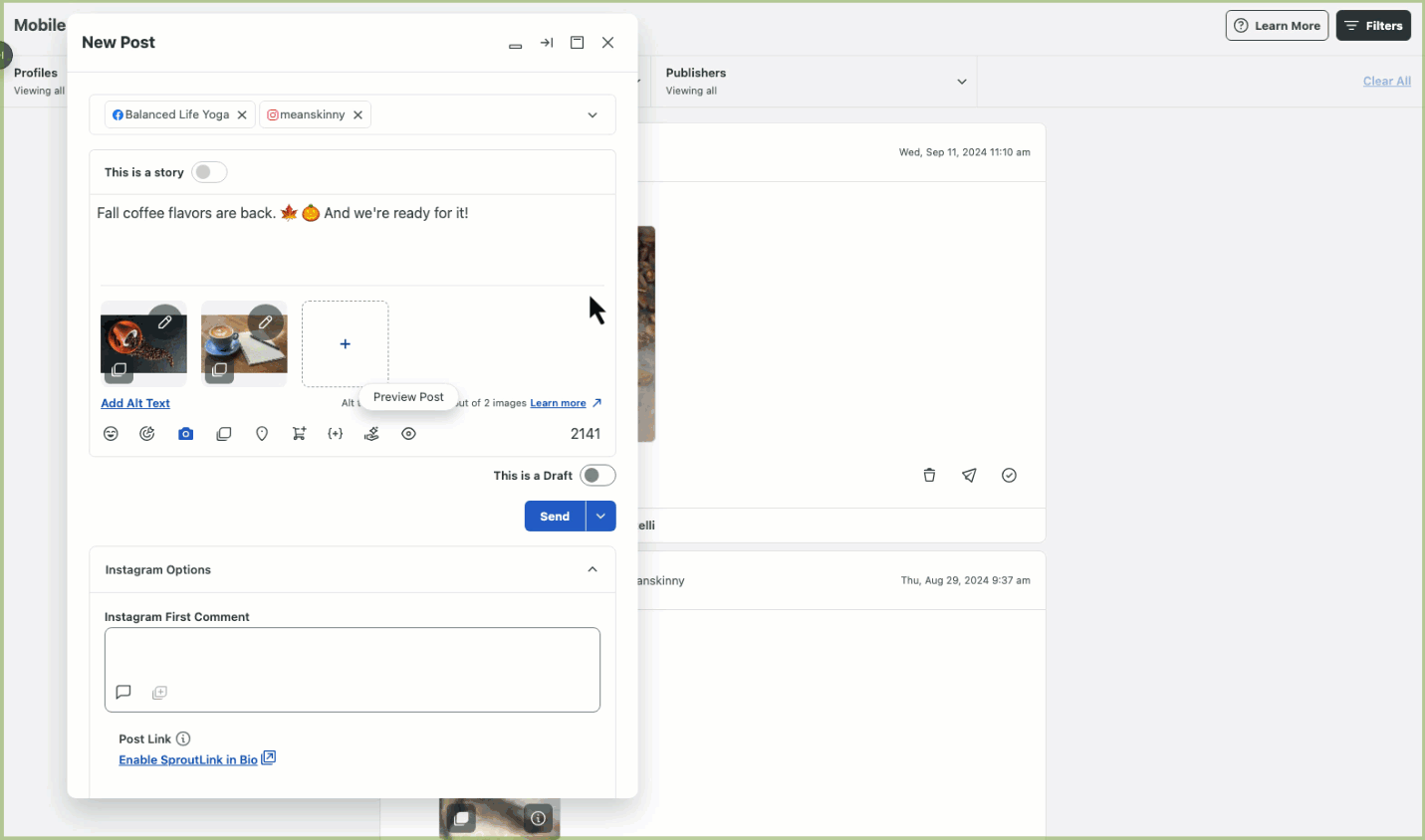 compose_preview_compact_view.gif