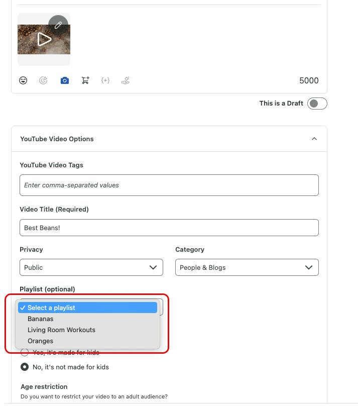 YouTube_video_playlist_dropdown (1).png