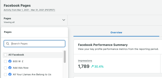 Customizing Facebook Pages report