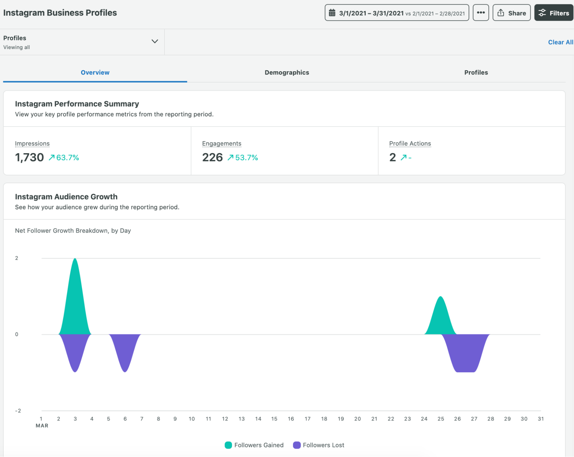 Screen shot of Instagram Business Profile report showing performance summary with impressions, engagements and profile actions.
