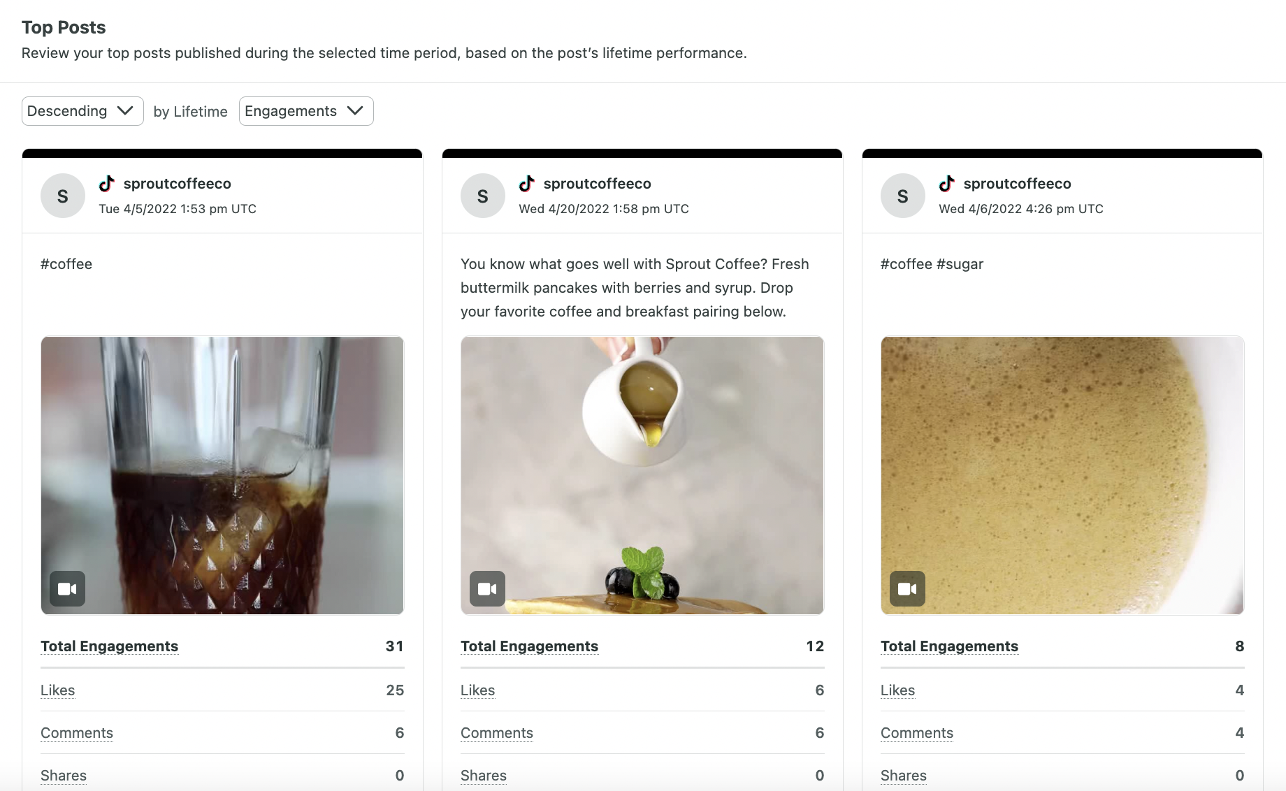 Screen Shot of Top Posts in TikTok Profiles Report