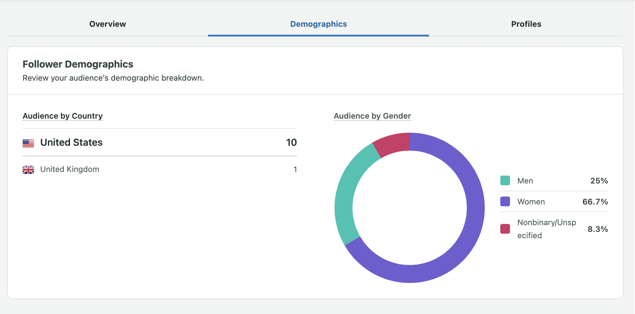 Screen Shot of Audience Demographics on TikTok Profile Report